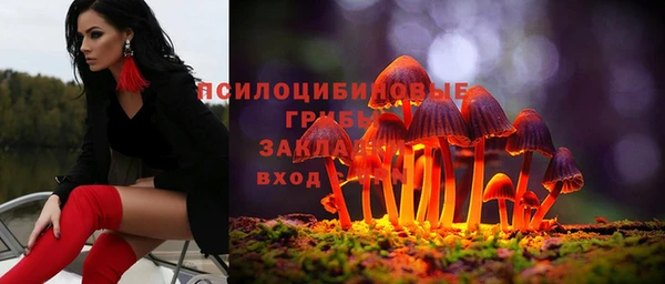 ГАЛЛЮЦИНОГЕННЫЕ ГРИБЫ Арсеньев