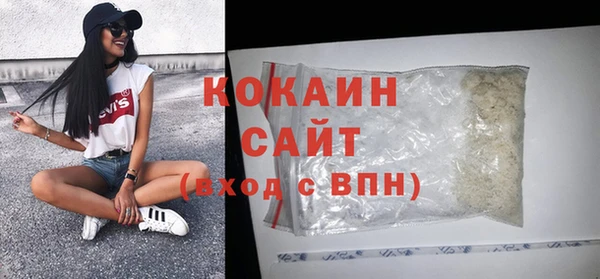 ГАЛЛЮЦИНОГЕННЫЕ ГРИБЫ Арсеньев