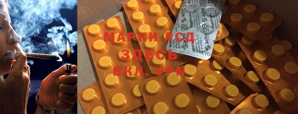 ГАЛЛЮЦИНОГЕННЫЕ ГРИБЫ Арсеньев