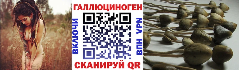 Галлюциногенные грибы Magic Shrooms  как найти закладки  мориарти официальный сайт  Минусинск 