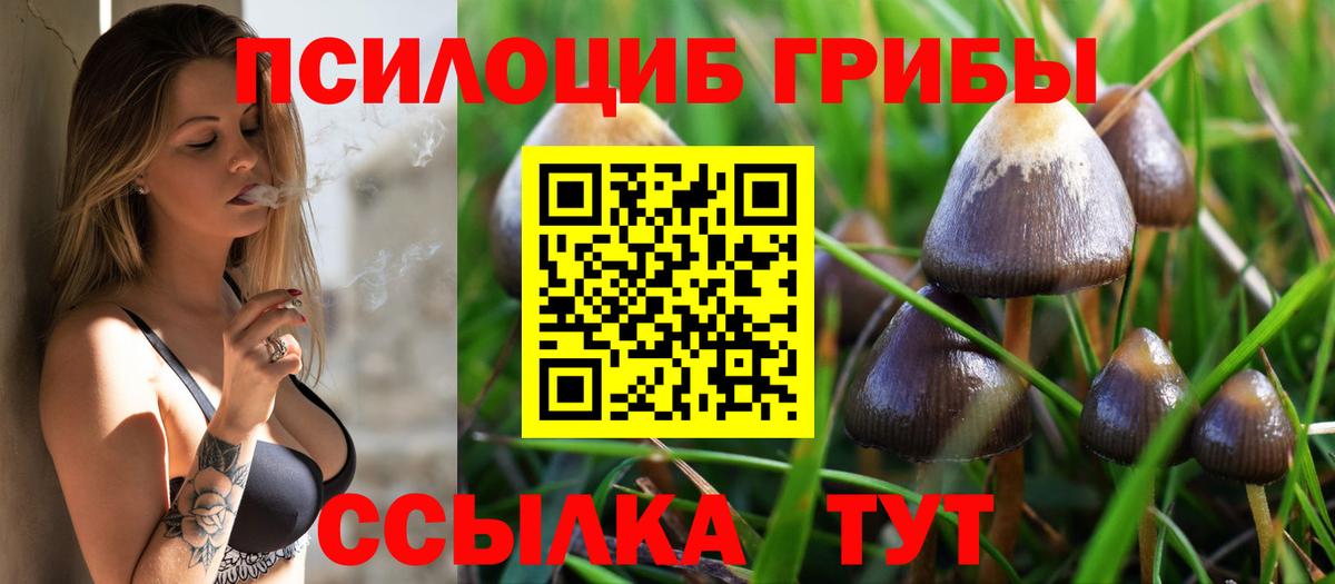 Галлюциногенные грибы мухоморы  Вход с VPN  Минусинск 