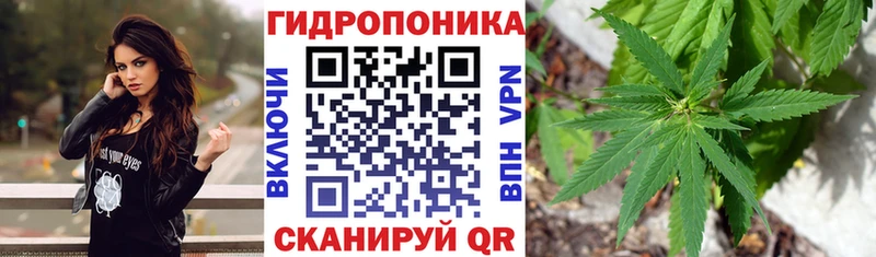 Шишки марихуана тримм  кракен как зайти  Минусинск 