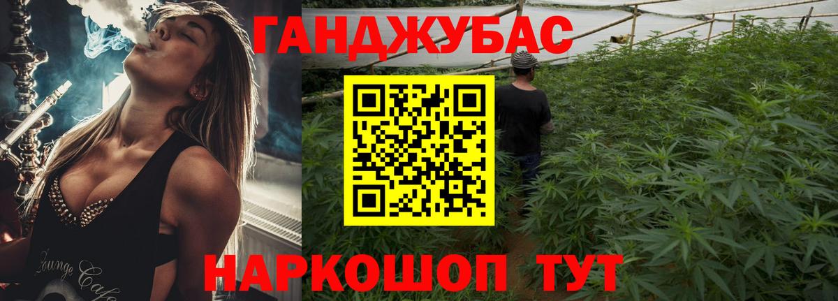 Каннабис индика  Шишки марихуана планчик  Каннабис план  Бошки марихуана гибрид  Минусинск  Вход с VPN 